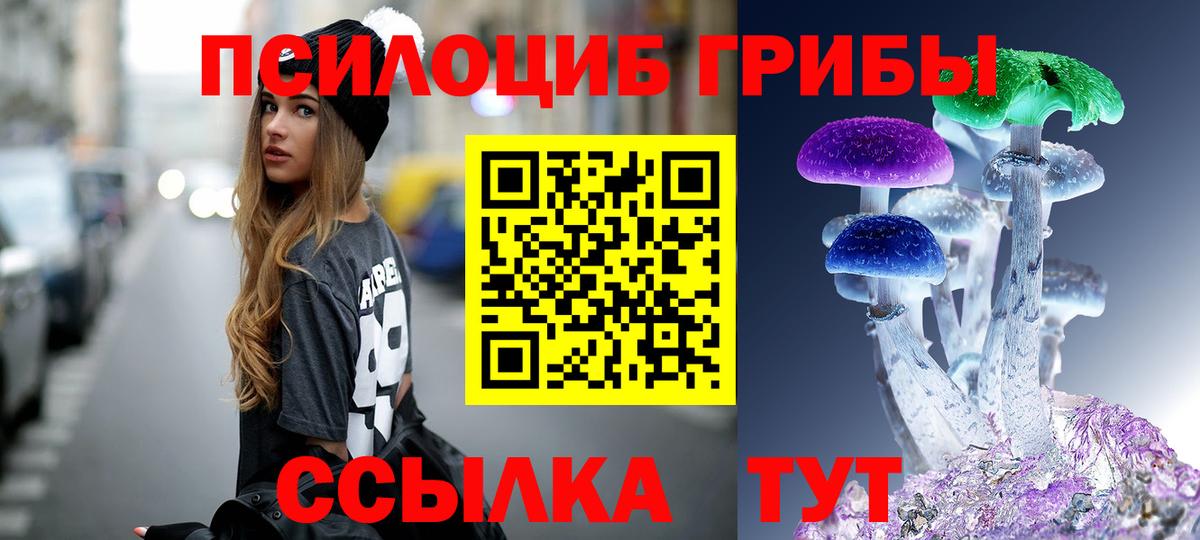 Галлюциногенные грибы мухоморы Можайск